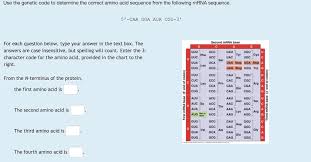 Solved Use The Genetic Code To Determine The Correct Amin