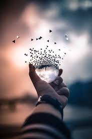 52 Hd Wallpapers For Iphone Xr Amazing Wallpaper For Iphone X Iphone Wallpaper Iphone Back Art Photography Photography Wallpaper Beautiful Nature Wallpaper