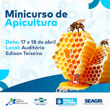 Seagri promove minicurso de Apicultura nesta quarta (17) e quinta (18)