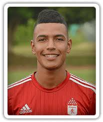 Cosmos Nowotaniec (Poland)