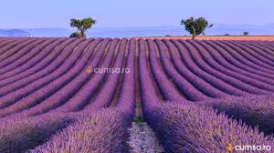 Putini isi dau seama că cele mai multe oportunitati de afaceri sunt la tară. Cum Sa Incepi O Afacere In Mediul Rural 10 Idei De Afaceri La Tara Cumsa Ro