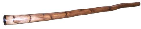 Image result for didgeridoo