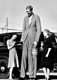 Link 64 The World S Tallest Man Was Almost 9 Feet Tall Cool And Interesting Facts For Kids Tall Guys Tall People Giant People