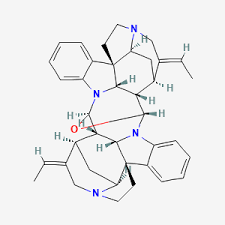 Image result for Strychnos matopensis