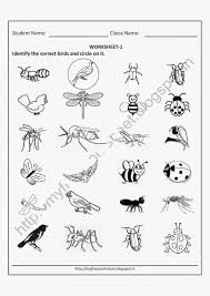 Insects Worksheets For Kindergarten Free Printable Worksheets For Nursery Kind In 2020 Kids Math Worksheets Kindergarten Worksheets Printable Free Printable Worksheets