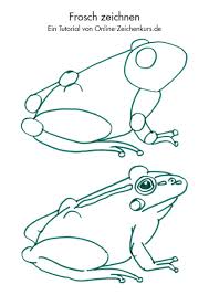 Zeichenanleitung Frosche Und Kroten Zeichnen Lernen
