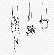 Maybe you would like to learn more about one of these? Hanging Drawing Transparent Hanging Plants Drawing Png Png Download Vhv