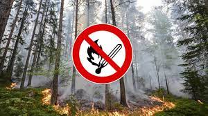 Länsstyrelsen östergötland har, efter samråd med länets kommuner och räddningstjänster, fattat beslut om eldningsförbud i hela länet. Eldningsforbud I Hela Ostergotland Nkpg News