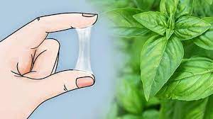 Surakarta secara umum tersimpan dalam naskah. Inilah Deretan Obat Alami Untuk Atasi Keputihan Kenali Juga Tanda Tanda Keputihan Yang Tak Normal Halaman All Tribun Cirebon