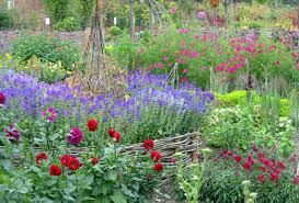 Check spelling or type a new query. Book Your Place On Our Cut Flower Growing And Arranging Workshop With Catkin Flowers The Natural Wedding Company The Natural Wedding Company