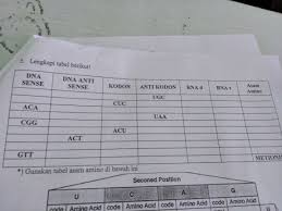 Proteins are made from 20 main amino acid molecules. Tolong Bantu Lengkapi Basa Nitrogen Brainly Co Id