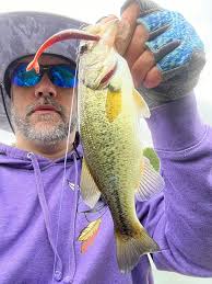 Nedwacky paddle tail performance