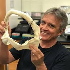 University of Florida Experts