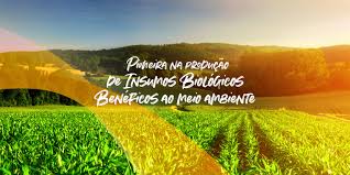 O que diz a bíblia sobre a questão do meio ambiente e a ação do homem sobre este tema? Korin Agricultura Amp Meio Ambiente Linkedin