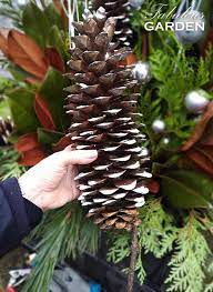 Check spelling or type a new query. How To Attach A Stick To A Pine Cone The Fabulous Garden