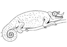 Hertjes tegen een aantrekkelijke prijs. Kleuterdigitaal Kameleon Kleurplaat 02 Kameleon Kleurplaten Dierentuindieren