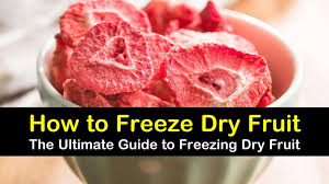 Ice cream, gelato and sorbets. 5 Quick Ways To Freeze Dry Fruit