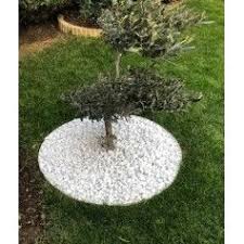 Entourage D Arbre Pvc Blanc Carres Et Ronds Protection Des Arbres Bordure De Jardin Decoration Jardin Exterieur Bordure Jardin