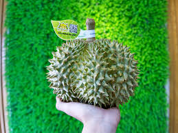 Seekpng provides high quality png images with transparent background. Sáº§u Rieng Sá»¯a Háº¡t Lep Trai Cay Trang Tráº¡i Háº¡t
