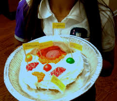 Animal cell model is required for class project and group project. Edible Animal Cell Curlyrootsblog