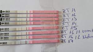 Ein ovulationstest hilft dir, das herauszufinden! Ovulationstest Lh Anstieg Wann Eisprung Probleme Beim Schwanger Werden 9monate De