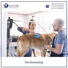Jan 02, 2021 · you can have a nice walk on the bank of canal in scenic lush green environment of lahore canal. Petcare Veterinary Clinic Veterinarian In Lahore