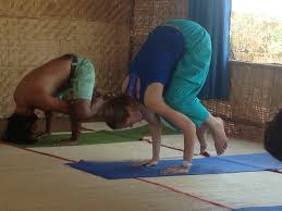 yoga teacher in goa india