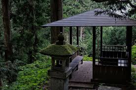 Resting Place In The Woods Places Beautiful Places Outdoor Structures