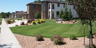 However, replacing a large lawn in the garden of a suburban semi with a sea of gravel is rather boring, and impractical for families with children. Lawn Grasses For Landscaping Landscaping Network