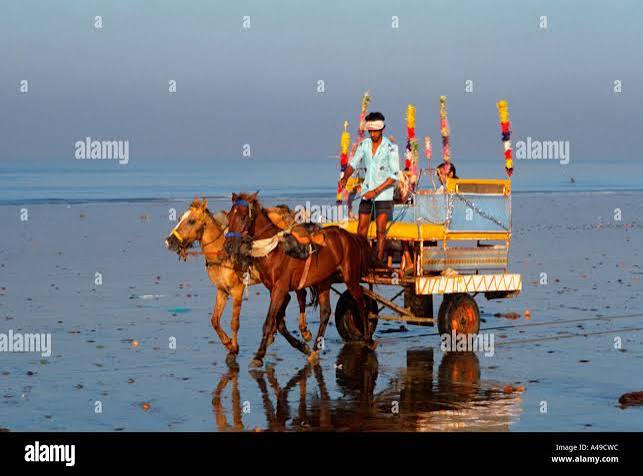 Horse cart mumbai india hi-res stock photography and images - Alamy