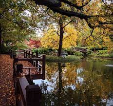 Japanese Fall Festival At The Fort Worth Botanic Gardens