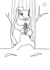 Find more squirrel coloring page. Squirrel Coloring Page By Mr Ds Precal Store Teachers Pay Teachers
