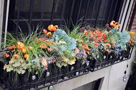 Maybe you would like to learn more about one of these? Window Box Planting Ideas For 4 Seasons Of Interest