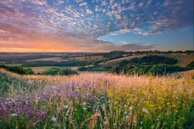10,384,700+ Summer Landscape Stock Photos, Pictures & Royalty-Free Images -  iStock | Vibrant summer landscape, Summer landscape road, Summer landscape  no people