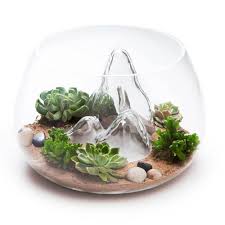 Award Winning 12 7 Glass Terrarium Indoor Garden Glass Fish Bowl Terrarium Glass Terrarium