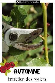 epingle sur jardin