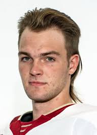 Carter Mazur Hockey Stats and Profile at hockeydb.com