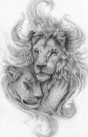 Black And White Lion And Lioness Picture 14 Black And White Lion Tattoo Designs Ideas In 2020 Lioness Tattoo Lion Tattoo Design Lion Sketch