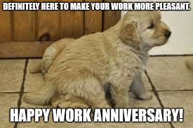 The best meme creator online! Happy Work Anniversary 101 Professional Milestone Wishes