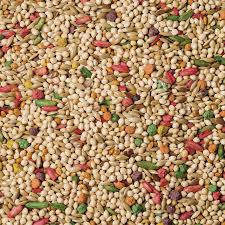 Great news!!!you're in the right place for bulk food. Bulk Parakeet Food Online Healthy Food For Parakeets