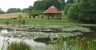 Neuer Botanischer Garten Der Georg August Universitat Gottingen Der Teich Botanischer Garten Universitat Teich
