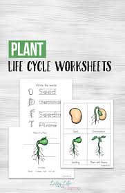 Free Printable Plant Life Cycle Worksheets With Images Plant Life Cycle Worksheet