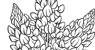 Primary, secondary, and tertiary colors. Download Our Printable Wildflower Coloring Pages Texas Highways