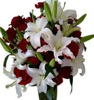 Maybe you would like to learn more about one of these? United States Flower Delivery By Local Florists In Washington And 2413 Cities