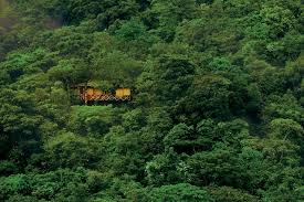 14 Of India S Most Loved Hill Stations Tree House Resort Tree House Cool Tree Houses