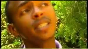 Daniel Ashenafi Yemgmreyaie