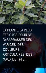 Pin On Astuces Sante