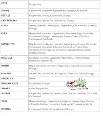 Essential oils are used for many different things. Pest Control With Essential Oils Plant Essentials