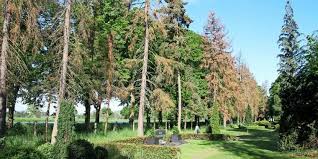 Hallo habe im meinem garten borkenkäfer gefunden habe ca 7 dein garten, dein grundstück, dein problem. Uetze Borkenkafer Kirche Muss Fichten Auf Friedhof Fallen