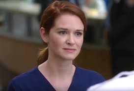 Grey's Anatomy': Does Sarah Drew's Exit Mean April Dies in Season 14?